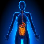 Love Your Gut – Foundation of Health