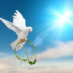 Peace can only be found outside the Matrix